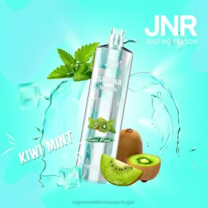 vaporizador de ervas atacado RB64681 kiwi hortelã JNR SHISHA